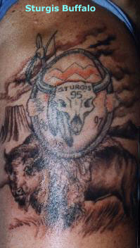 98sturgessbuffaloadon.JPG (24162 bytes)