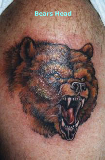 bearhead.jpg (23785 bytes)