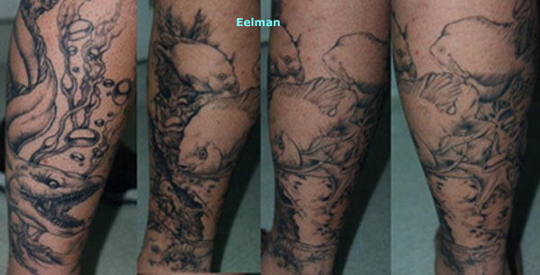 eelman99.jpg (44987 bytes)