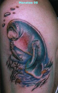 manatee98.JPG (25275 bytes)
