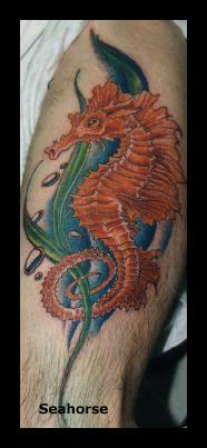 seahorse00.JPG (21463 bytes)
